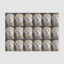 Search for alpaca tissue paper Cute