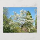 Search for multi region postcards Nature