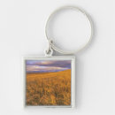 Search for wheat keychains Sunset