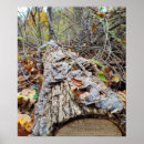 Recherche de buch posters Photographie