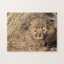 Recherche de namibie puzzles Animal