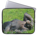 Search for chimps electronics Photography