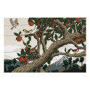 Recherche de bel arbre posters Paysage