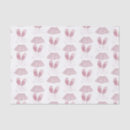 Search for ballet shoes tissue paper Tutu