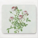 Recherche de rosa tapis souris Redoute