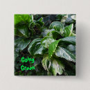 Search for plants buttons Leaves