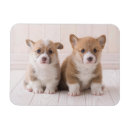 Recherche de deux animaux magnets Chiot