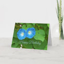Search for morning glory birthday cards Floral