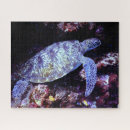 Search for sea turtles puzzles Beautiful