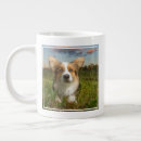 Search for queens corgi mugs Cute