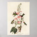 Recherche de fleurs exotiques posters Vintage