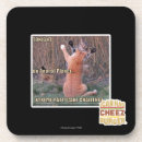 Search for vertically challenged coasters I can has cheezburger