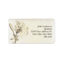 Search for lillies return address labels Beautiful