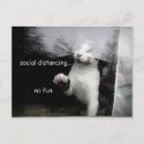 Search for socialization postcards Isolation