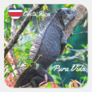 Recherche de iguana stickers Mignon