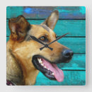 Recherche de shepherd horloges Pet
