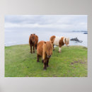Recherche de poney shetland posters Ranch