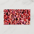 Recherche de galets cartes visite Côte