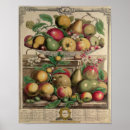 Search for fruit season chart Seasonal