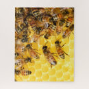 Recherche de ruche puzzles Insectes