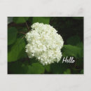 Recherche de boule à neige cartes postales Nature