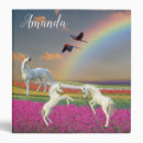 Search for rainbow binders Unicorn