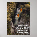 Search for tree swallow posters Bird
