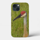 Recherche de ornithologie iphone coques Nature