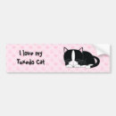 Search for felines bumper stickers Animals