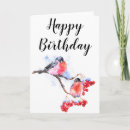 Search for garden birthday cards Robin