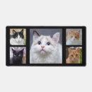 Recherche de chat smoking tapis souris Animaux