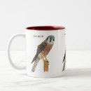 Search for american kestrel mugs Hawk
