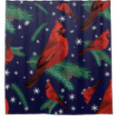 Search for cardinal bird shower curtains Branches