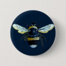 Search for blue wing buttons Illustration