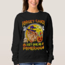 Search for pome Pomeranian dad