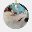 Search for sleeping cat ornaments Feline