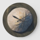 Search for sand dollar clocks Ocean