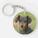 Search for smooth keychains Dachshund smooth haired miniature