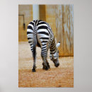Recherche de zigzag noir et blanc posters Zèbre