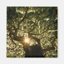 Recherche de rayon de soleil magnets Paysage