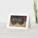 Recherche de pair vœux cartes Unique