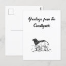 Recherche de agneaux cartes postales Pour tous