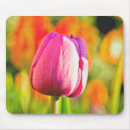 Recherche de tulipe orange tapis souris Jardin