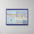 Search for sandpiper art Wildlife