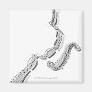 Search for shape note magnets Illustration