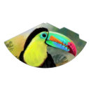 Search for bird paper party hats Tropical