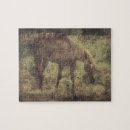 Search for horse memorial gifts Equine