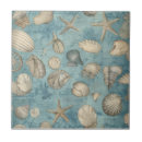 Search for seashell tiles Coral