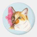 Recherche de orange chat magnets Dame de chat