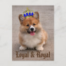 Recherche de loyal cartes postales Pour tous